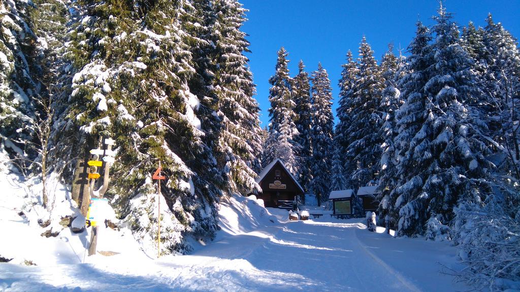 Pension Ploc Harrachov Exterior photo