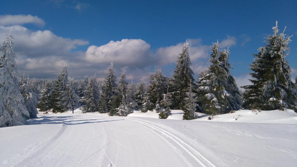 Pension Ploc Harrachov Exterior photo